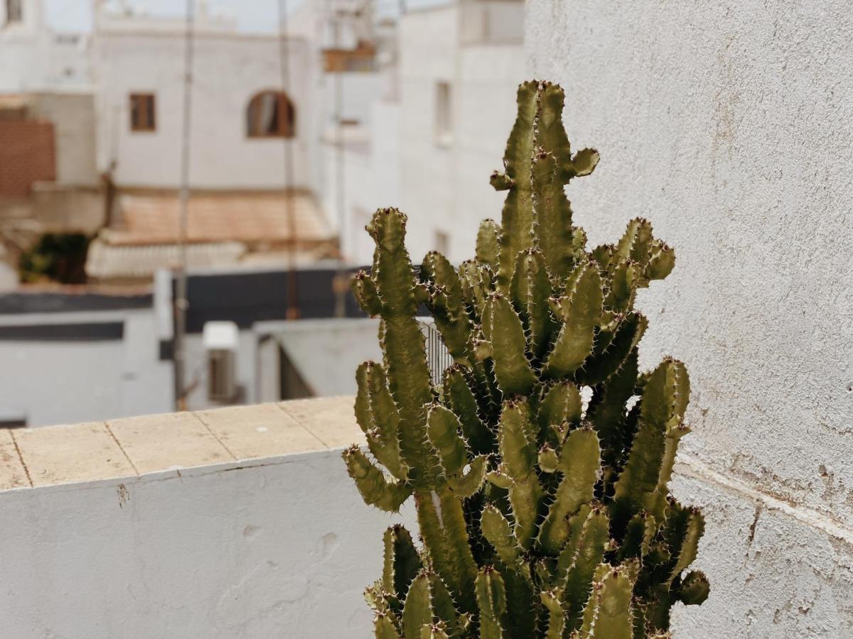 Cool Loft In The Old Town With Rooftop Terrace And Fireplace 타리파 외부 사진